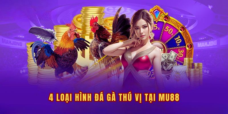 Sảnh đá gà tại MU88 có nhiều loại hình đá gà nổi tiếng