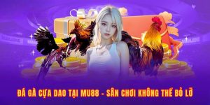 Đá Gà Cựa Dao Tại MU88 - Sân Chơi Kịch Tính Không Thể Bỏ Lỡ