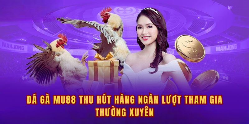 Đá gà MU88 thu hút hàng ngàn lượt tham gia thường xuyên